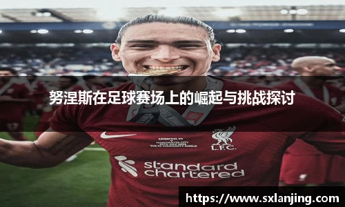 努涅斯在足球赛场上的崛起与挑战探讨